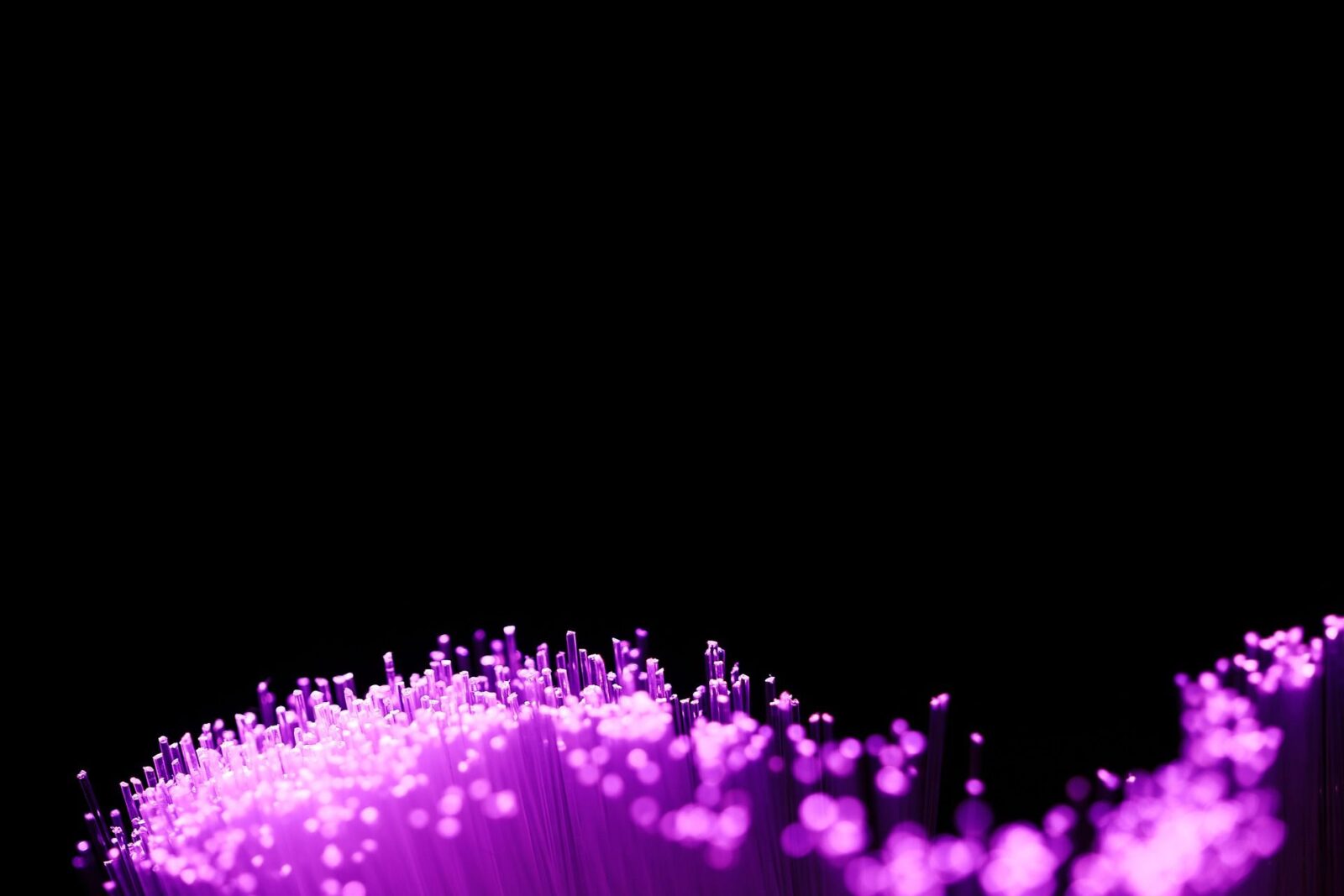 Des câbles de fibre optique transmettent des données à haut débit